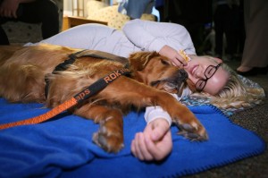 dog_therapy1