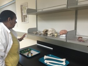 CSN Anthropology Professor Diane Hardgrave was a driving force behind the college's new biological anthropology lab.